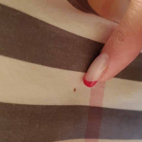 ⚠️SOLD⚠️ Authentic Burberry NovaCheck shirt - Picture 4 of 6